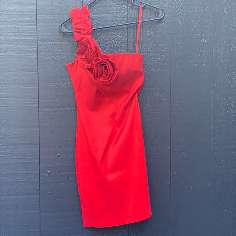 NWT AX gorgeous rose dress